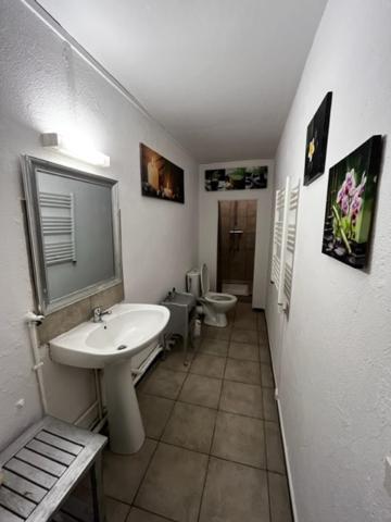 קרקסון Cosy House T3 City Center, Museum, Place Carnot מראה חיצוני תמונה